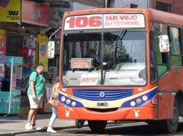 colectivos