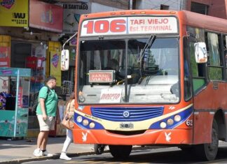 colectivos