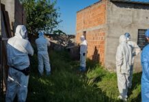 Alerta por el avance de armas, drogas y conflictos violentos en la provincia crimen
