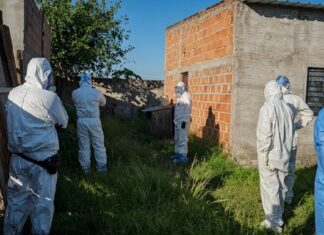 Alerta por el avance de armas, drogas y conflictos violentos en la provincia crimen