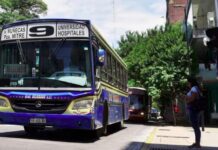 colectivo