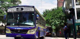 colectivo