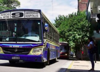 colectivo