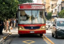 colectivo