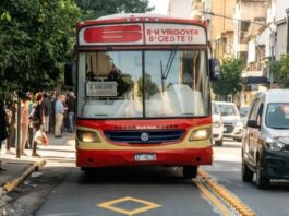 colectivo