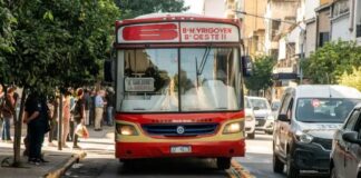 colectivo