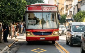 colectivo