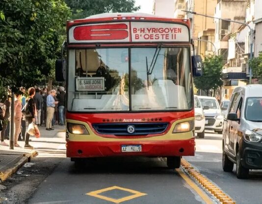 colectivo