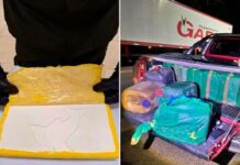 Buscan a un empresario gastronómico de Famaillá por el caso de los 470 kilos de cocaína droga