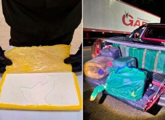 Buscan a un empresario gastronómico de Famaillá por el caso de los 470 kilos de cocaína droga