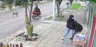robo