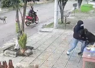 Golpearon a un joven vendedor en un intento de robo en la puerta de su casa robo