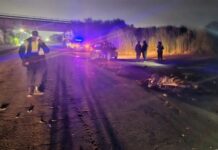 Un motociclista perdió la vida tras un choque en la Ruta 323 en Famaillá choque
