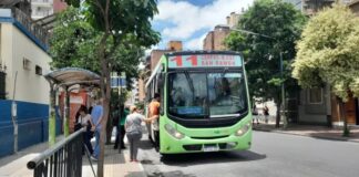 colectivo