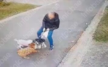 Deben indemnizar a un vecino por el ataque de dos perros en un barrio privado perros