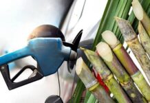 El Senado construye acuerdos para una nueva ley de biocombustibles