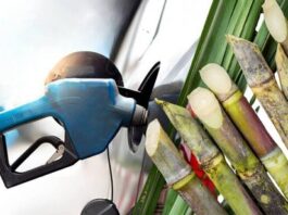 El Senado construye acuerdos para una nueva ley de biocombustibles