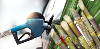 El Senado construye acuerdos para una nueva ley de biocombustibles