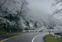 Vialidad informa restricciones en la Ruta Provincial N.º 307