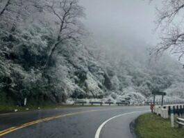 Vialidad informa restricciones en la Ruta Provincial N.º 307