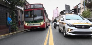 colectivos