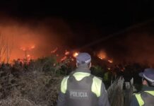 incendio