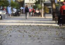 El viento Zonda seguirá presente hoy en Tucumán: rige una alerta por ráfagas intensas zonda