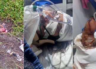 Una mujer fue salvajemente golpeada, violada y dejada por muerta en Monteros policiales