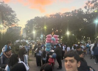Todos los festejos tucumanos de la Argentina finalista del Mundial