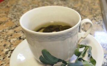 Salud advierte sobre el consumo de té de ruda en grupos de riesgo