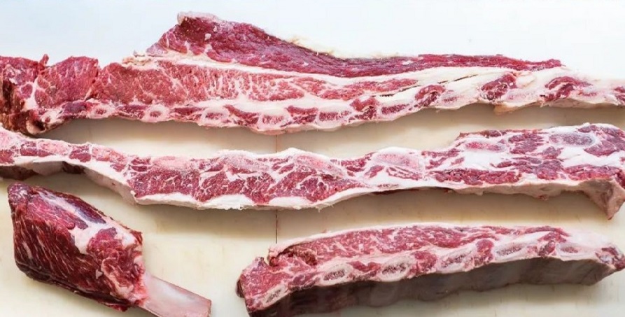 04ce77b3-a72e-4fb1-aa66-134c0d0bd6ce carne