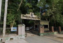 Fundación Miguel Lillo: procesan a directivos y traban embargos por $15 millones fundacion miguel lillo