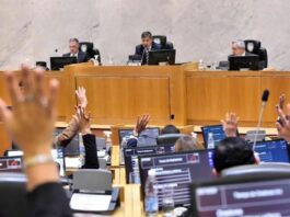 Sesiona la Legislatura: los temas que se debatirán en el recinto legislatura