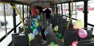 colectivo