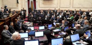 senado