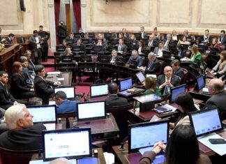 El Senado le dio media sanción a la Ley de Propiedad Privada sin dos capítulos senado