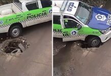 bache
