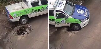 bache