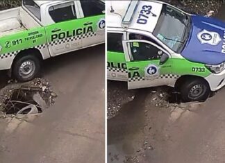 bache
