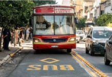 colectivo