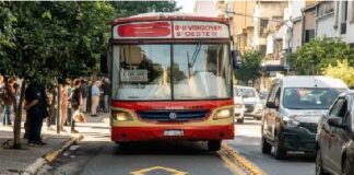 colectivo