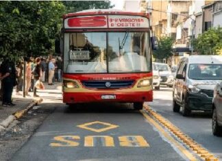 colectivo
