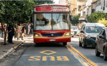 colectivo