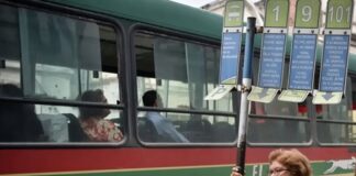 colectivos