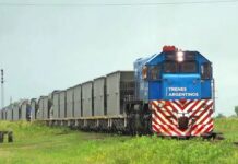 Privatizaciones: el Gobierno llamó a licitación para concesionar por 50 años el Belgrano Cargas