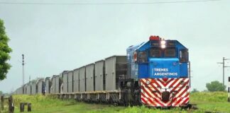 Privatizaciones: el Gobierno llamó a licitación para concesionar por 50 años el Belgrano Cargas