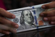 El Gobierno oficializó la flexibilización para que las empresas puedan acceder a créditos en dólares