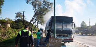 colectivo