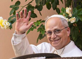 Se confirmó la agenda del papa León XIV para su visita a Argentina papa