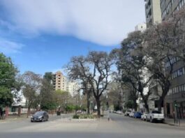 Domingo frío, con una máxima de 15° y con posibilidades de llovizna en Tucumán clima
